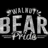 GLT62 SILVER GLITTER Thumbnail