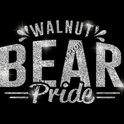 GLT62 SILVER GLITTER Thumbnail